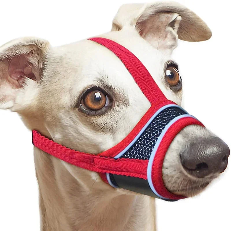 CanisSafe | Hundemaulkorb aus reflektierendem Nylon