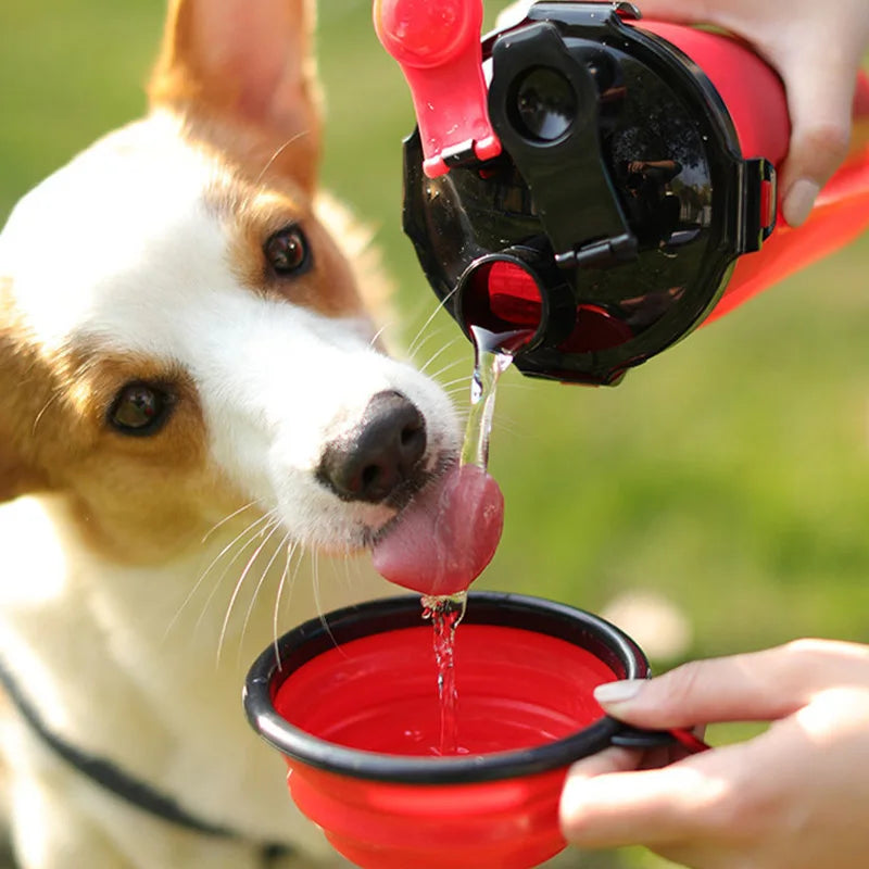 PawPort | Reise-Wasserflasche mit integriertem Futterbereich