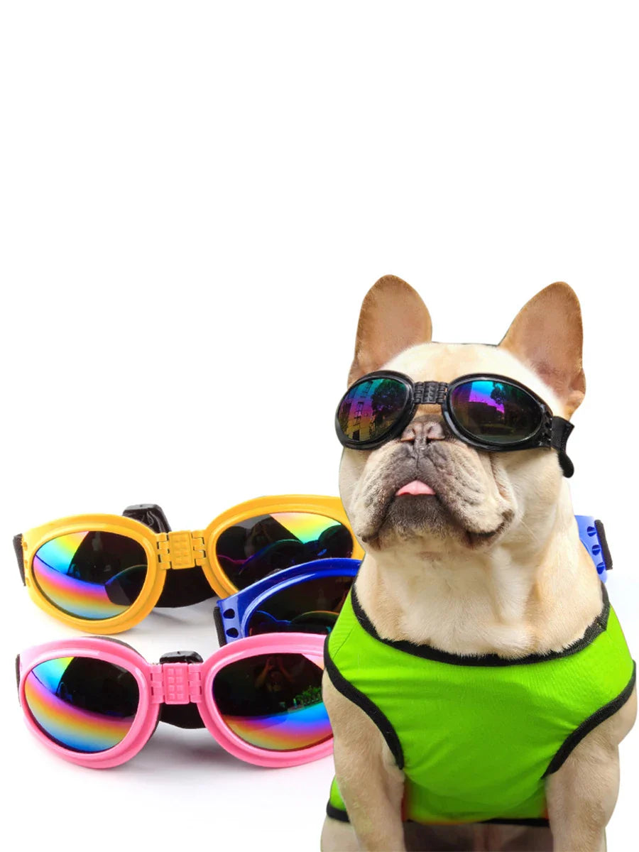 Hektor | Faltbare UV-Schutz-Hundebrille mit elastischem Komfortband