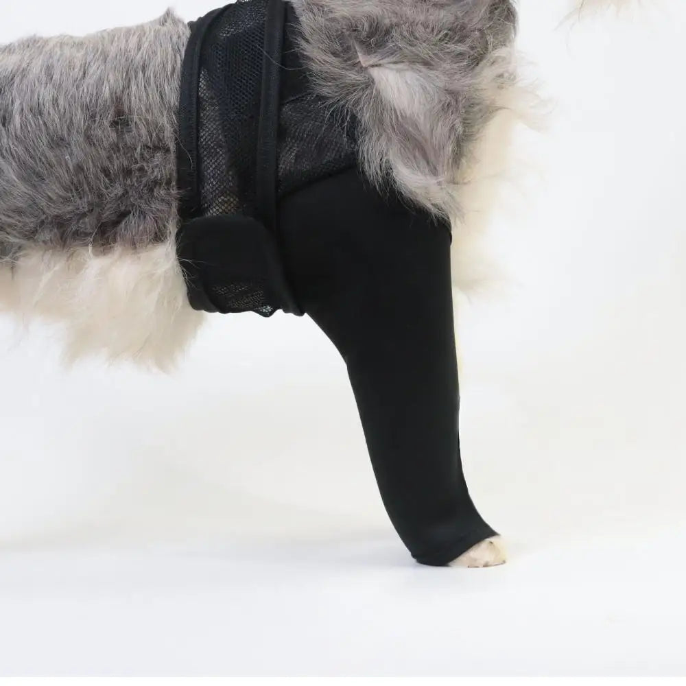 Vetano | Schutzbandage für Hunde-Beine mit Klettverschluss