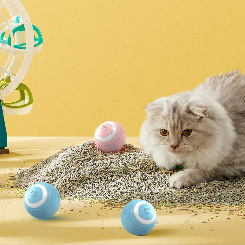 Mila | Intelligenter, selbstbewegender Spielball für Katzen