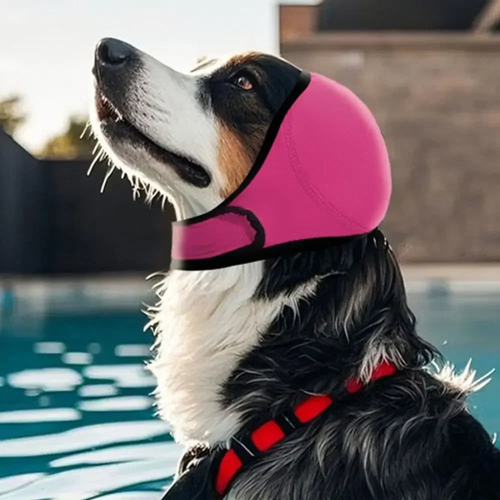 Niro | Wasserdichte Hunde-Ohrenschutzhaube mit Geräuschdämpfung