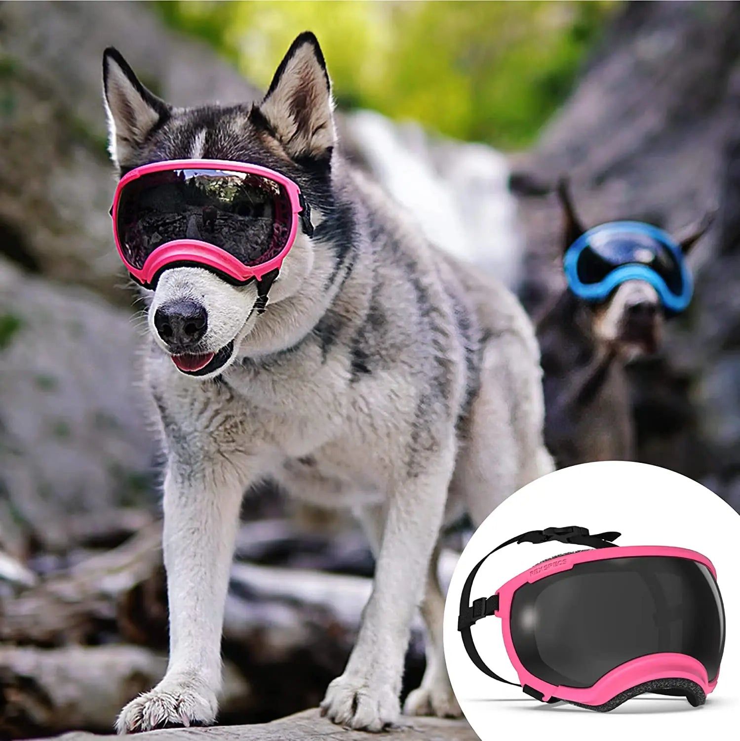 PawView | Anti-UV Hundebrille – Stoßfest & winddicht