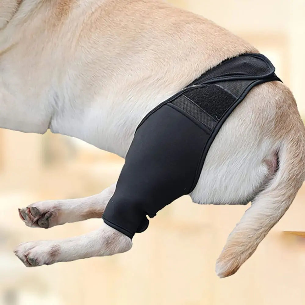 Vetano | Schutzbandage für Hunde-Beine mit Klettverschluss