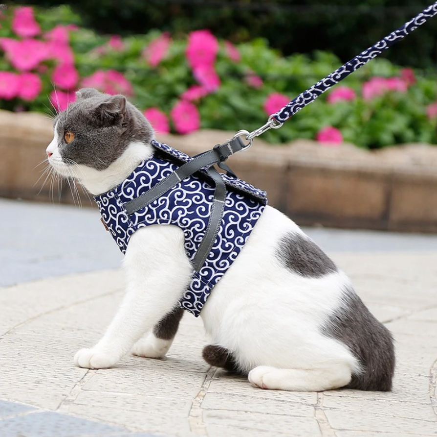 Mikano | Komfort-Harness für Katzen mit Leine