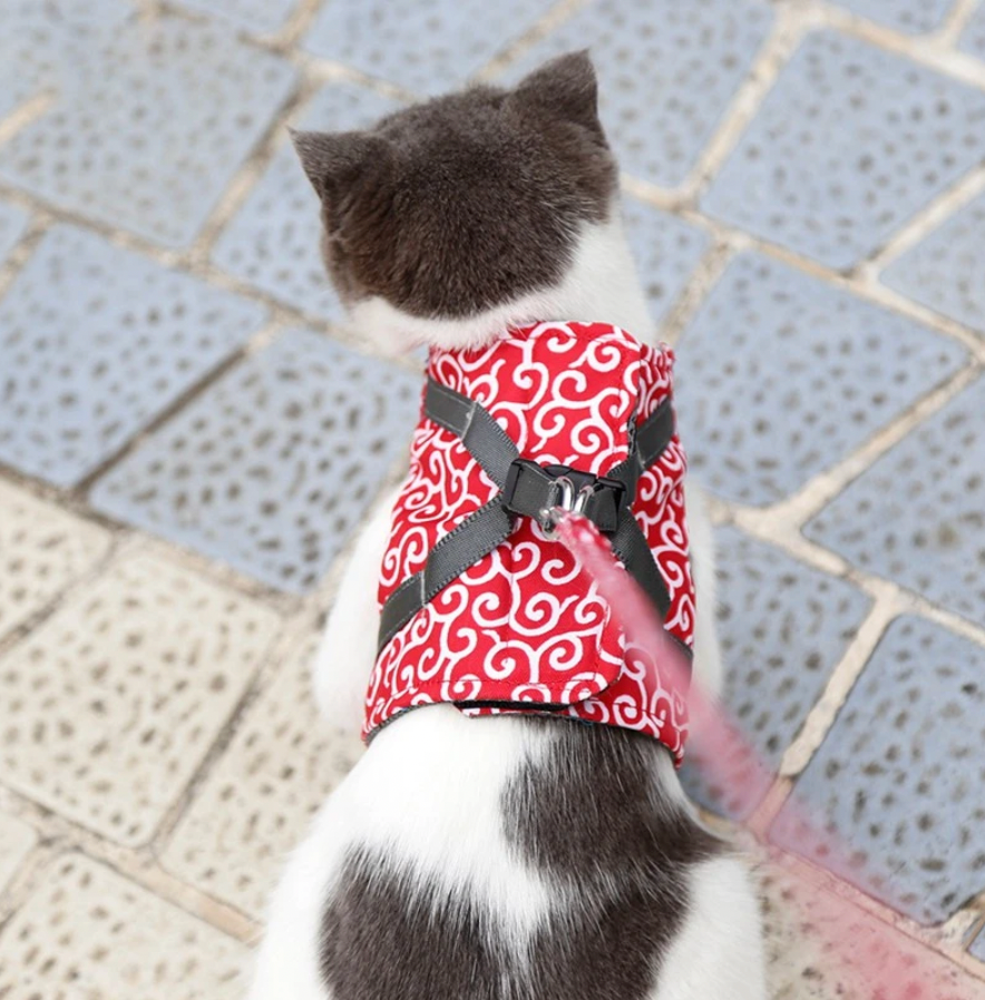Mikano | Komfort-Harness für Katzen mit Leine