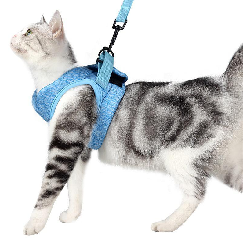 CatExplorer | Katzengeschirr mit Leine für Spaziergänge