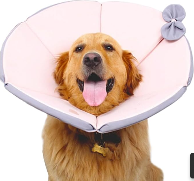 PawSoft | Schutz-Hundehalsband mit Wohlfühlkomfort