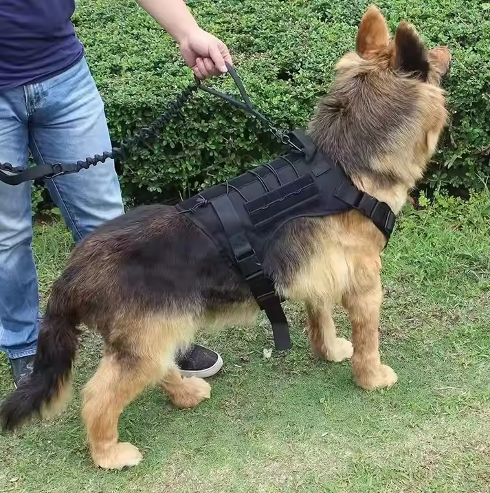 RexGuard | Taktisches Hundegeschirr mit Taschen & Führleine für Training & Outdoor