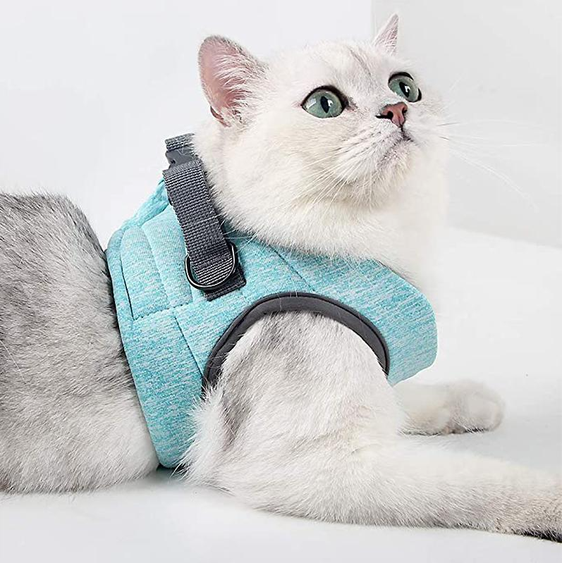 CatExplorer | Katzengeschirr mit Leine für Spaziergänge