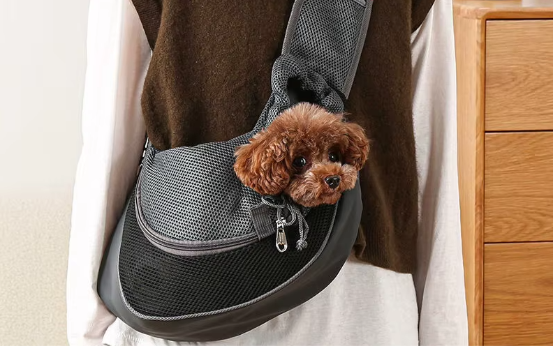 CarryCanis | Tragetasche für Hunde mit Schultergurt und Atmungsnetz