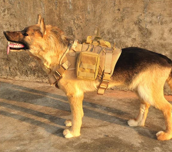 RexGuard | Taktisches Hundegeschirr mit Taschen & Führleine für Training & Outdoor