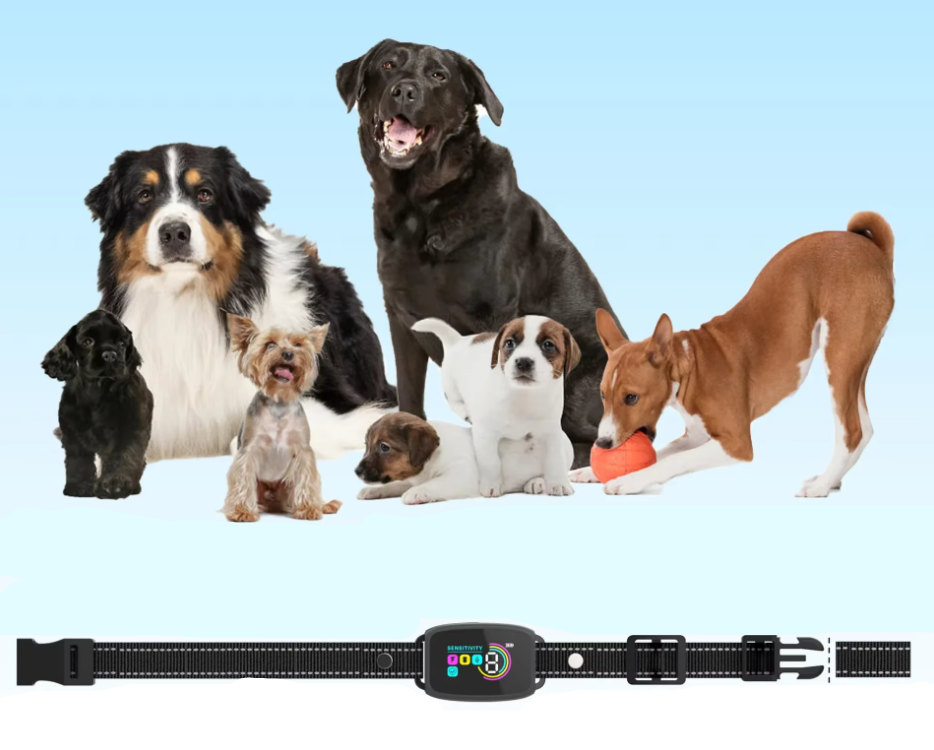 AlphaBark | Trainingshalsband mit Fernbedienung & Vibrationsfunktion