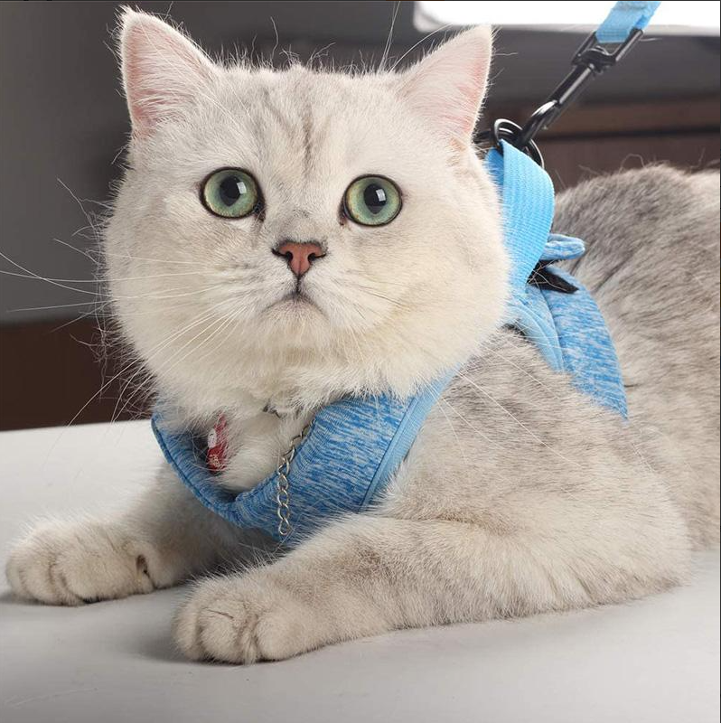 CatExplorer | Katzengeschirr mit Leine für Spaziergänge