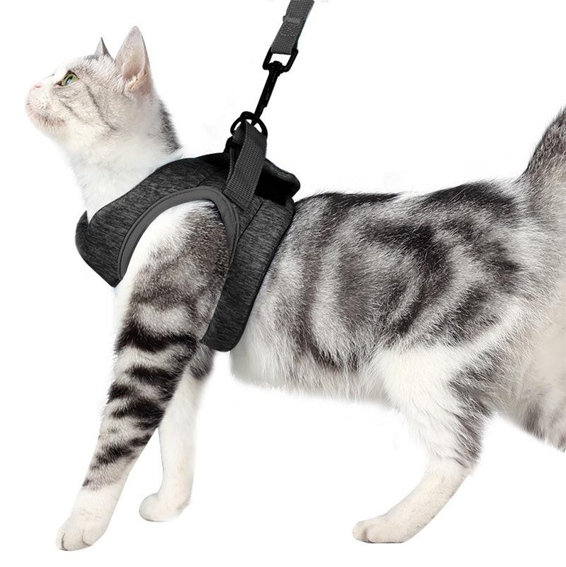 CatExplorer | Katzengeschirr mit Leine für Spaziergänge