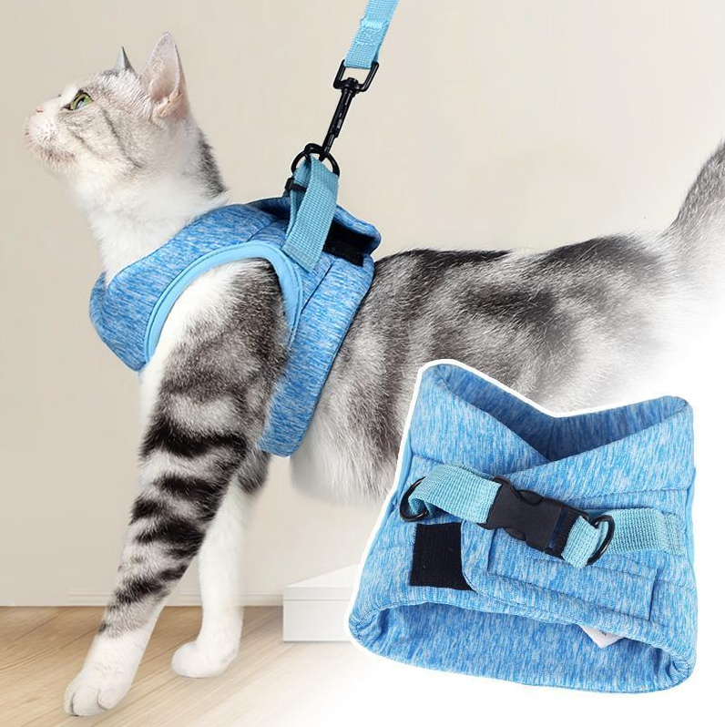 CatExplorer | Katzengeschirr mit Leine für Spaziergänge