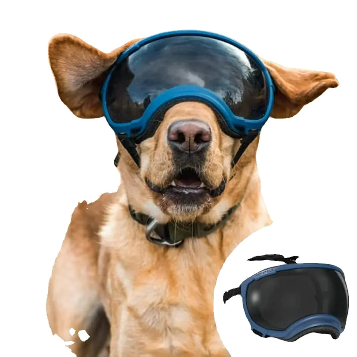PawView | Anti-UV Hundebrille – Stoßfest & winddicht
