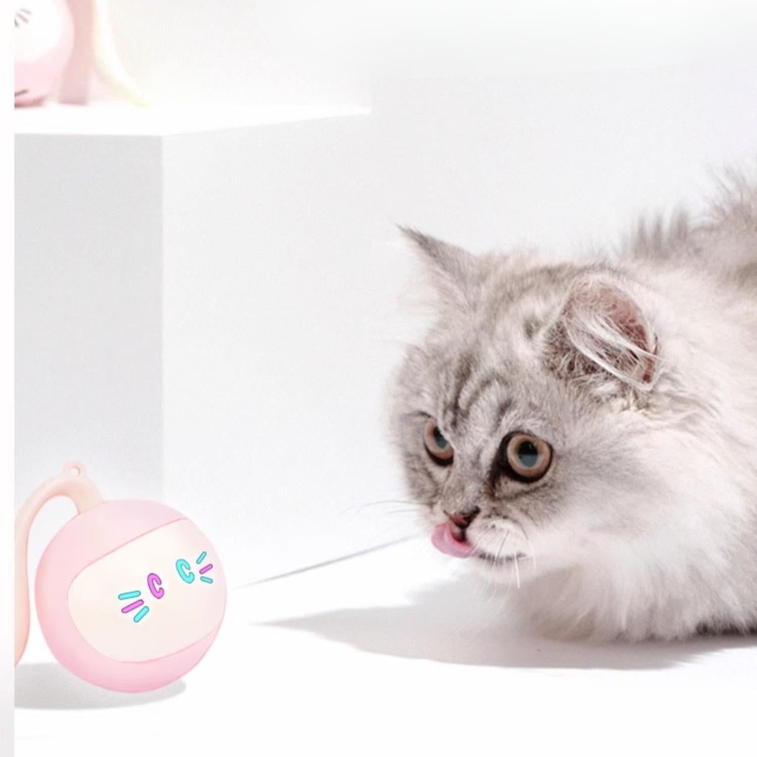 Slimme Plagenbal katten speelbal lichtgevende ogen
