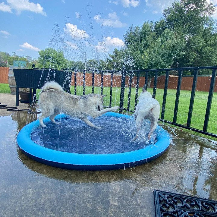 AquaPup | Hundepool für Sommervergnügen