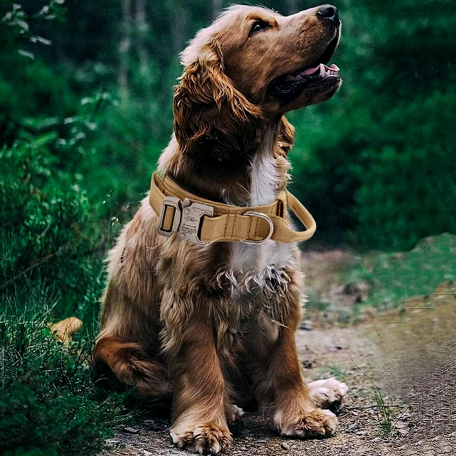 Arkon | Taktisches Hundehalsband für Training & Sicherheit