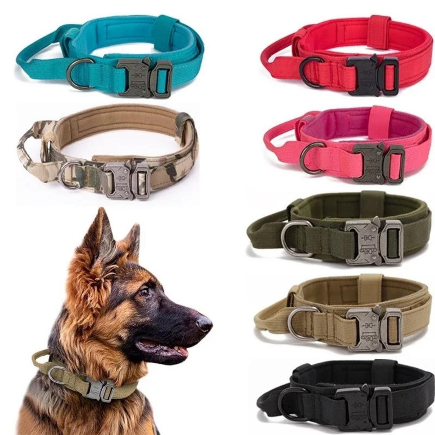 Arkon | Taktisches Hundehalsband für Training & Sicherheit