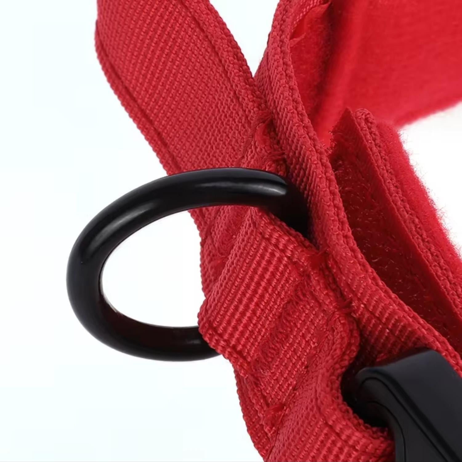 Arkon | Taktisches Hundehalsband für Training & Sicherheit