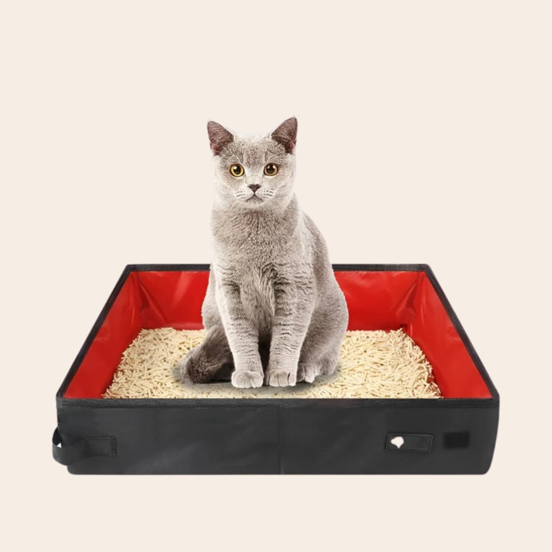 Luna | Tragbare Katzenbox für Reisen & Zuhause