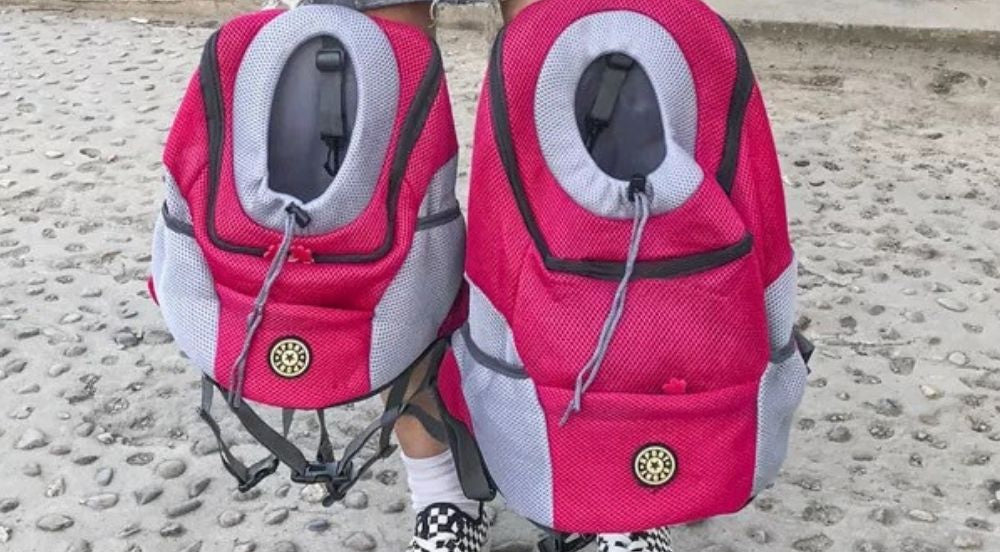 Trevano | Ergonomischer Hunderucksack für unterwegs