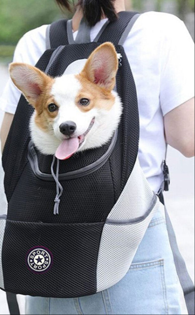 Trevano | Ergonomischer Hunderucksack für unterwegs