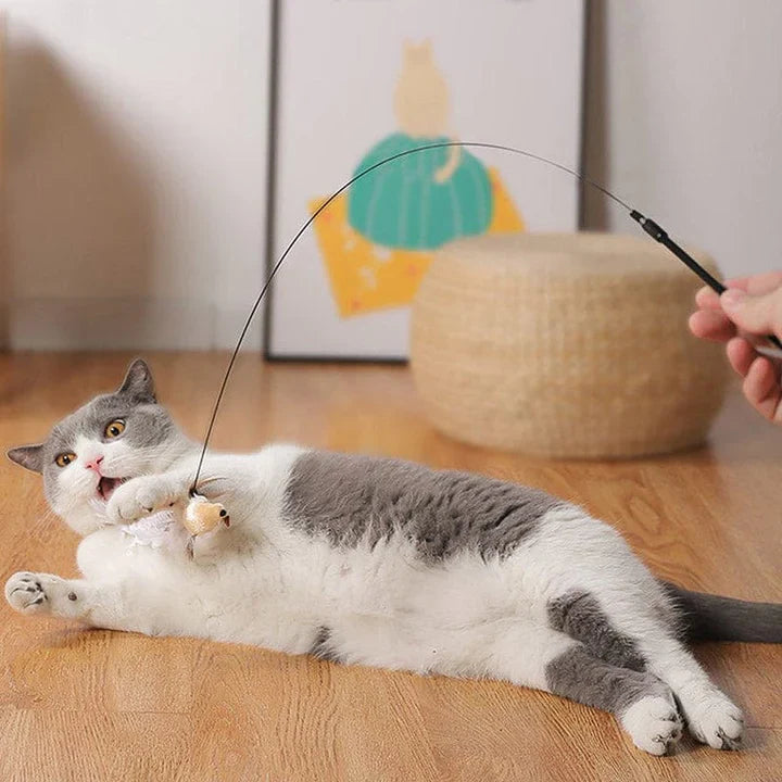 Leo | Premium Katzenspielstab mit 5 Feder-Vögeln