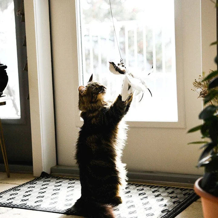 Leo | Premium Katzenspielstab mit 5 Feder-Vögeln