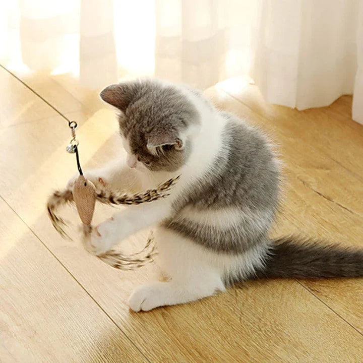 Leo | Premium Katzenspielstab mit 5 Feder-Vögeln