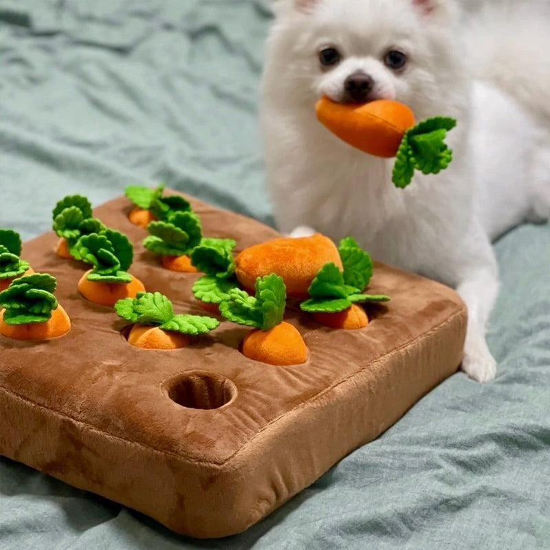Wuffedo | Interaktiver Karotten-Garten für Hunde