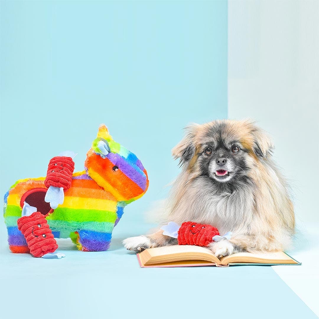 PlayPaw | Burrow Piñata