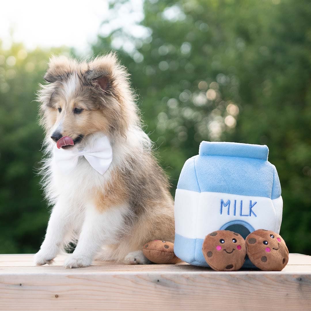 SnoutNStuff | Zippy Burrow Milk & Cookies