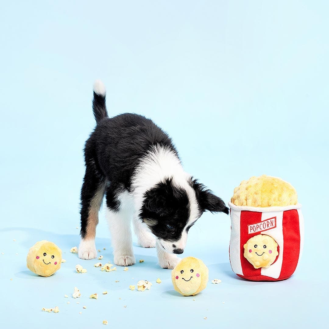 BarkGlee | Popcorn-Eimer