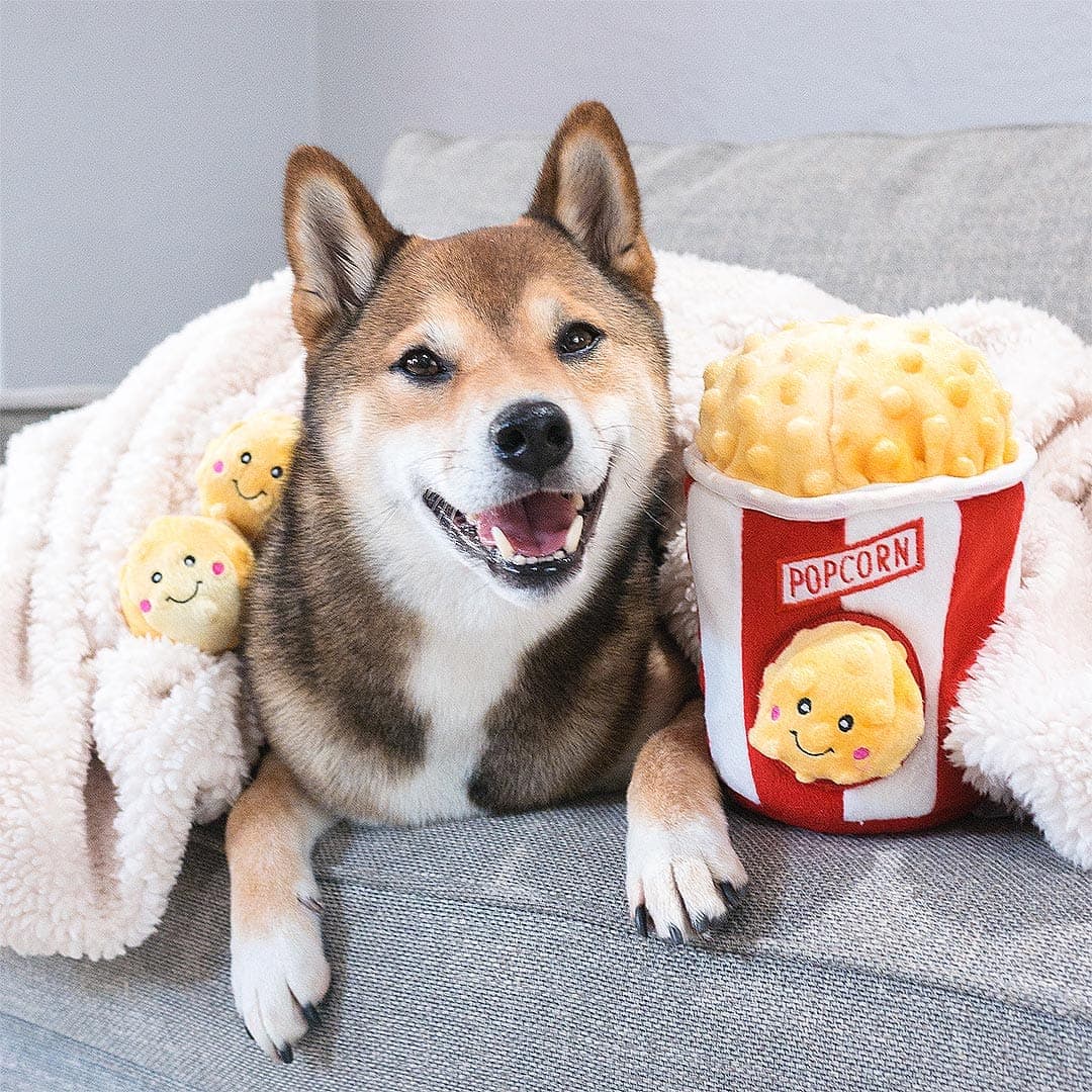 BarkGlee | Popcorn-Eimer