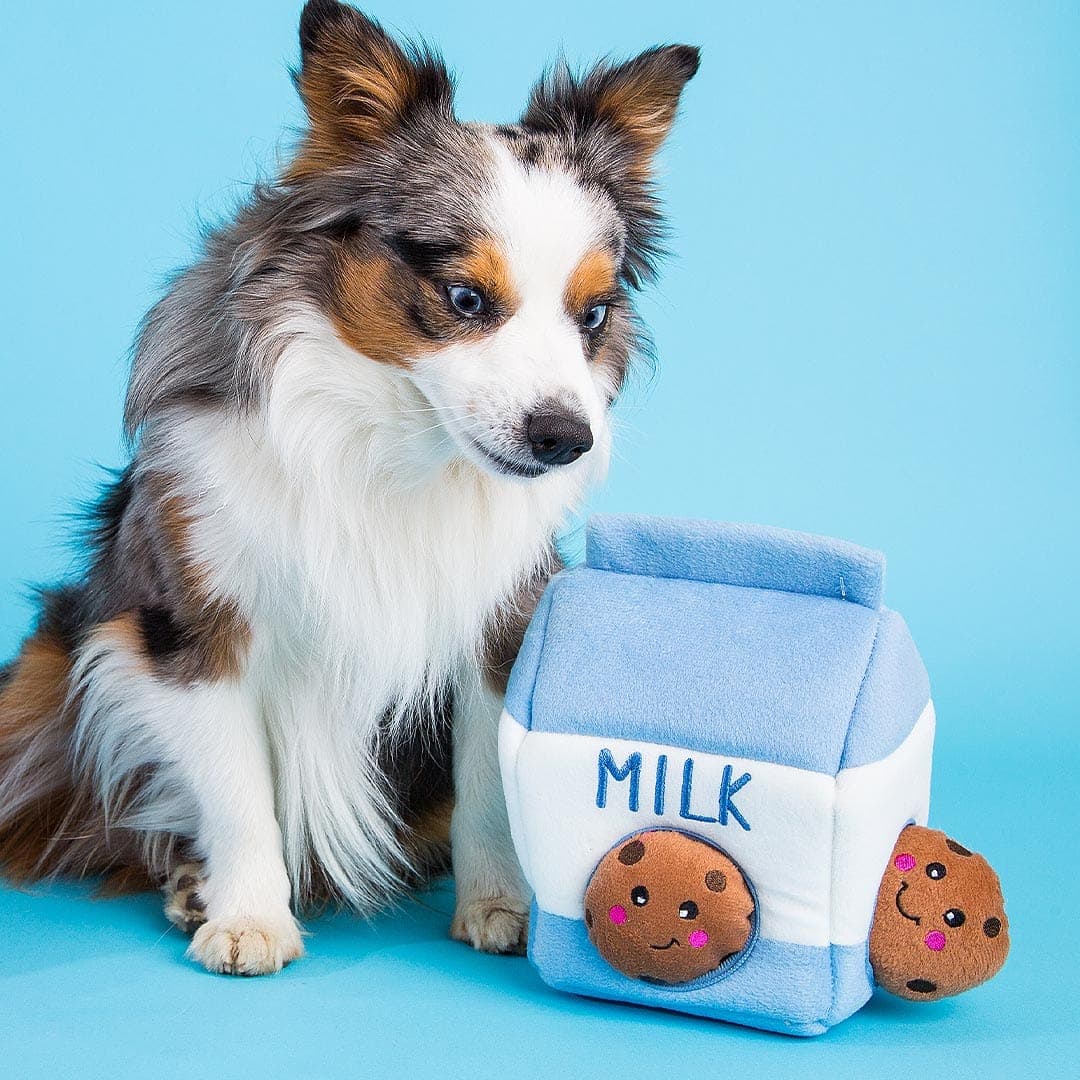SnoutNStuff | Zippy Burrow Milk & Cookies