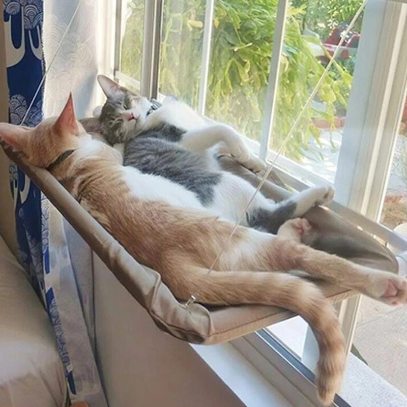 Pawelle | Fensterhängematte für Katzen – Sonnenplatz mit Aussicht