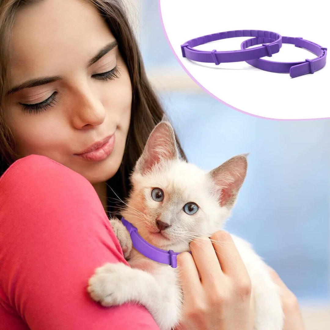 Emma | Sanftes Pheromon-Halsband für Entspannung