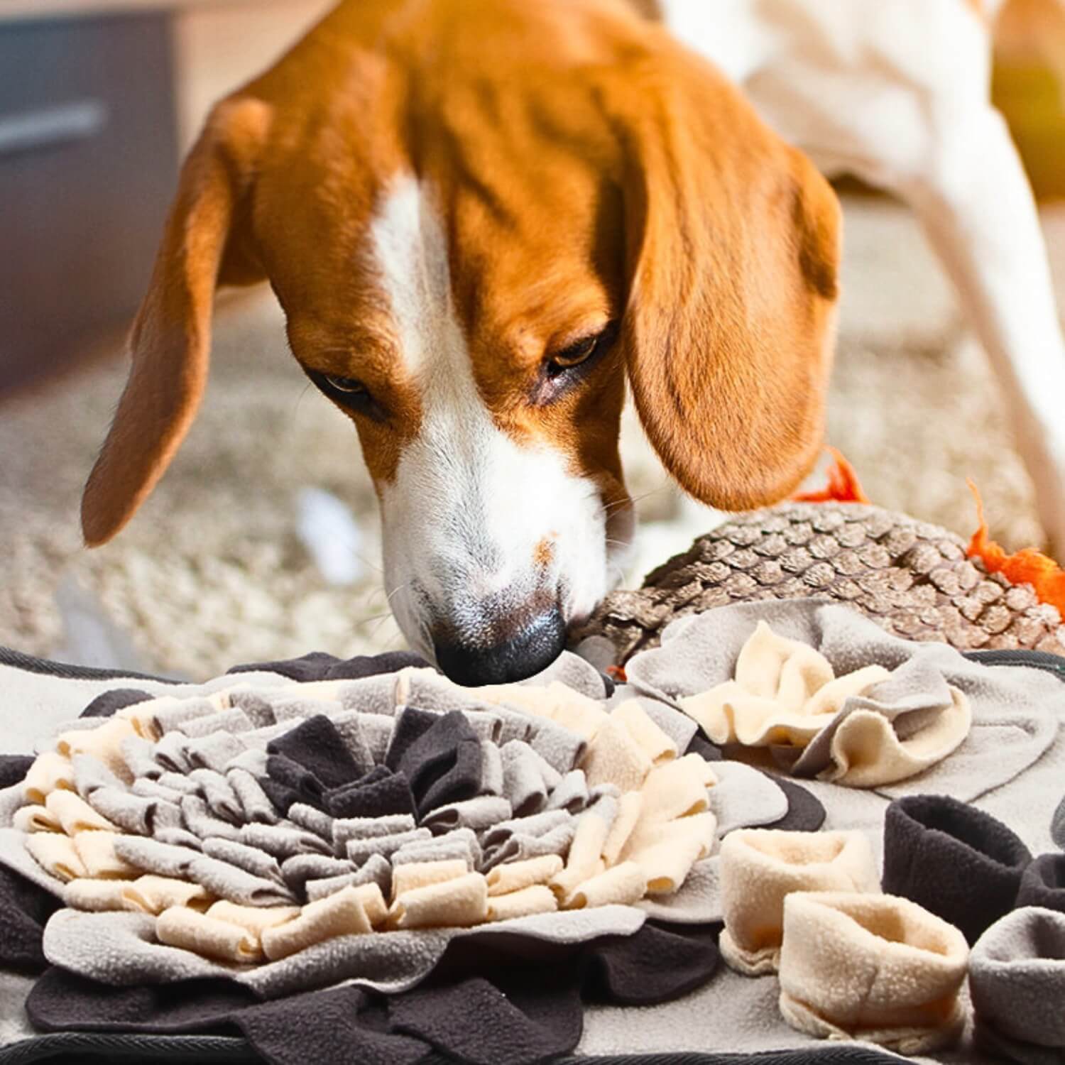 LupoPaws | Intelligenz-Schnüffelteppich für Hunde in Knochenform