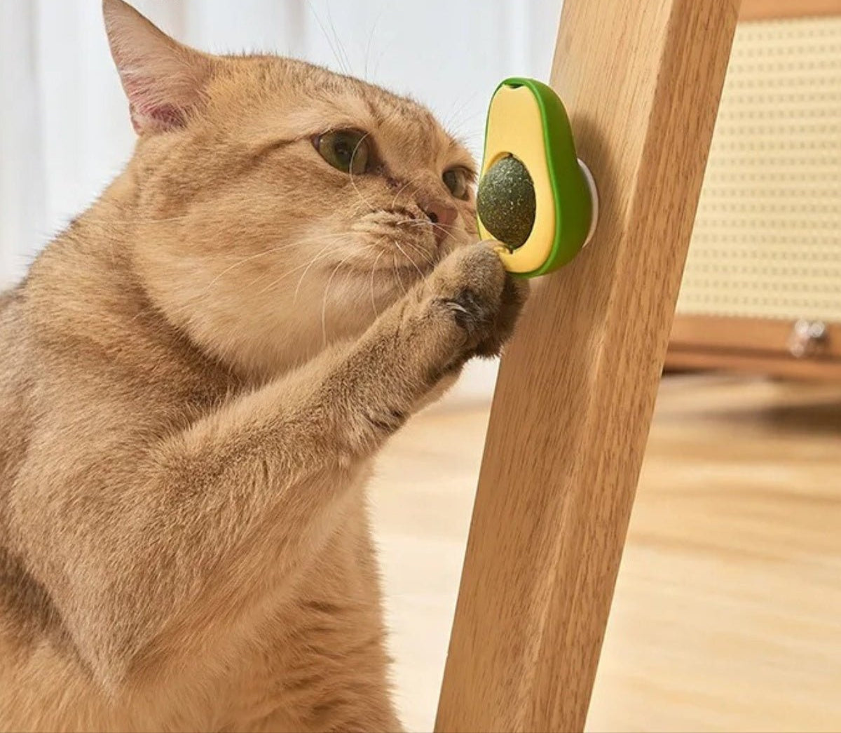 Kiki | Spielball mit Katzenminze in witziger Avocado-Form