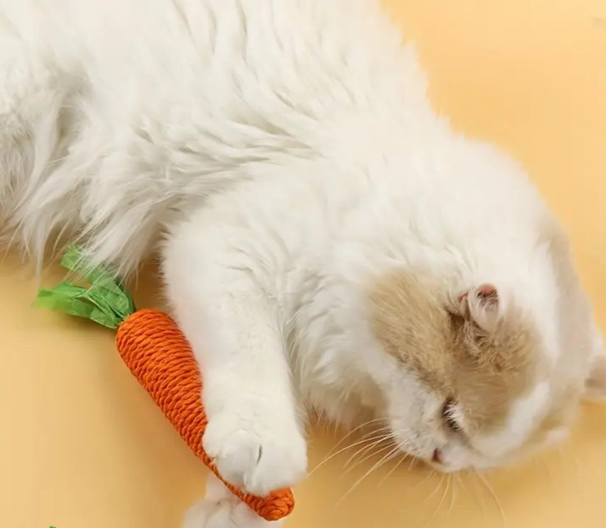 Miro | Zahnfreundlicher Karotten-Kau-Snack für Katzen