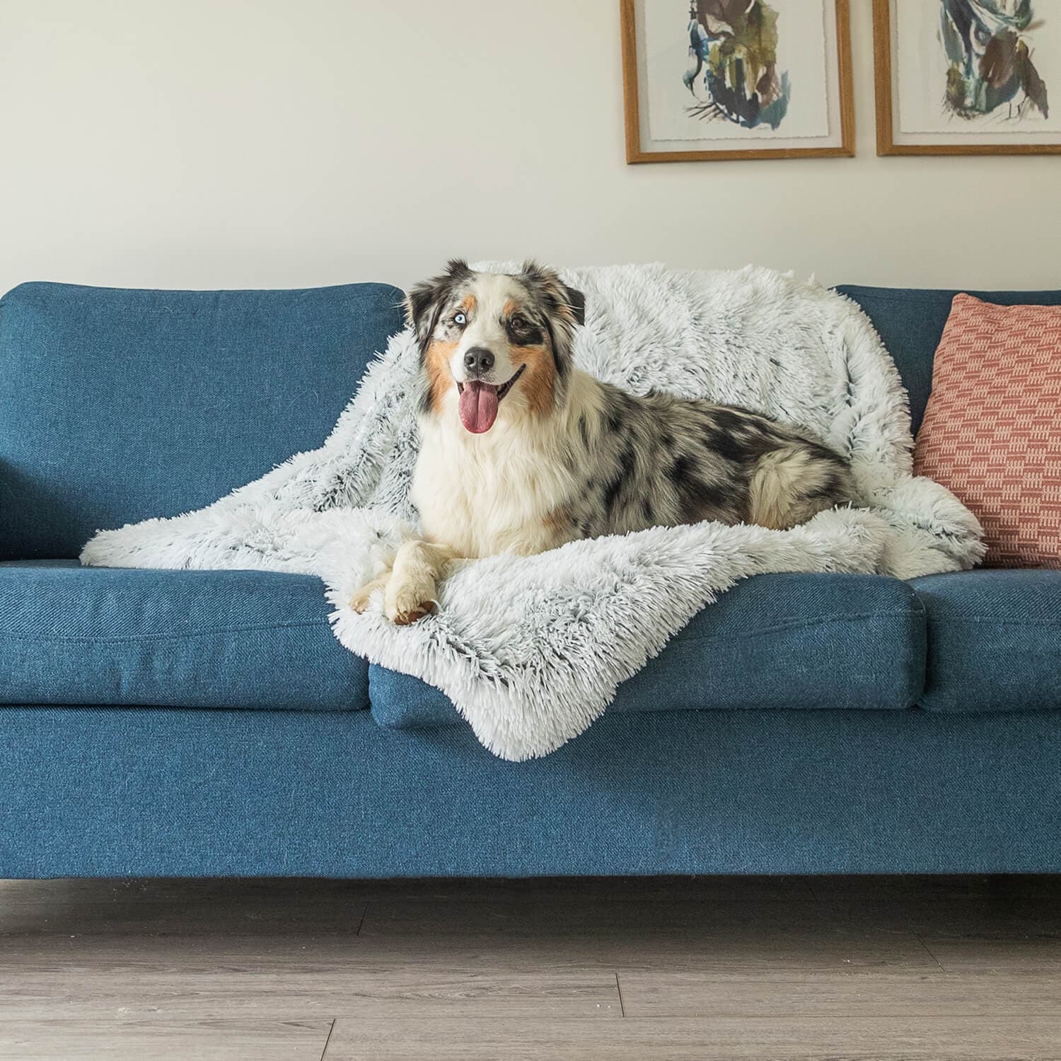 SnugTail | Beruhigende Hundedecke mit Anti-Stress-Funktion