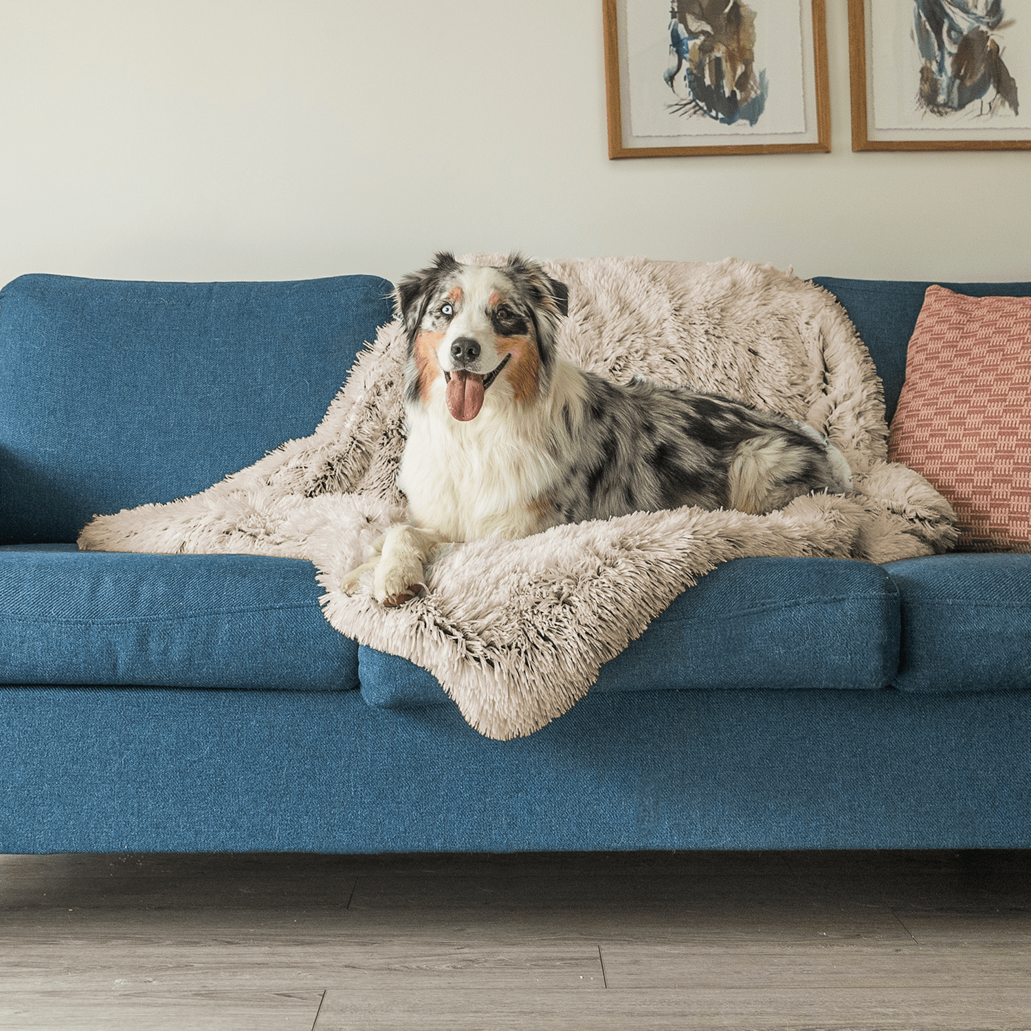 SnugTail | Beruhigende Hundedecke mit Anti-Stress-Funktion