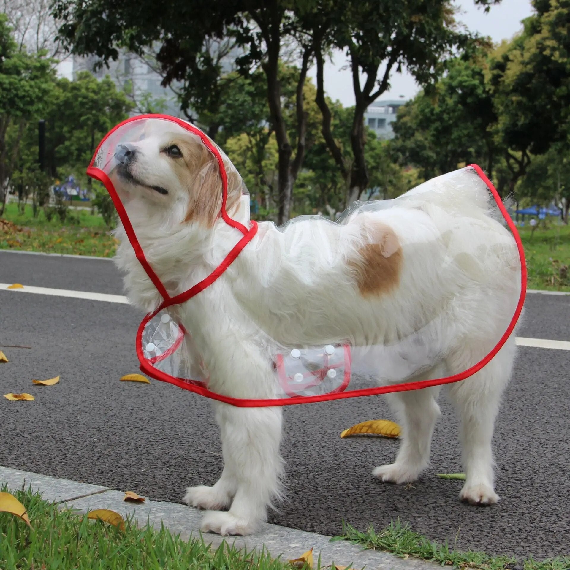FellFit | Wetterfester Hundeponcho