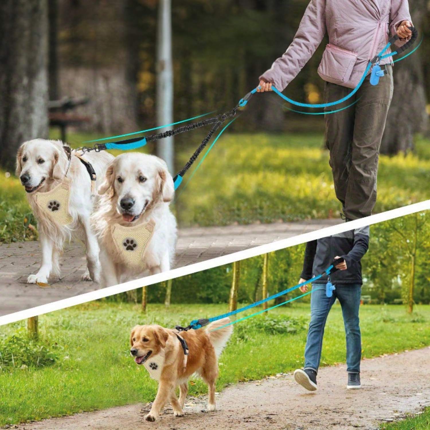 DuoLead | Doppelte Hundeleine mit 360° Anti-Verheddern & reflektierendem Sicherheitsdesign
