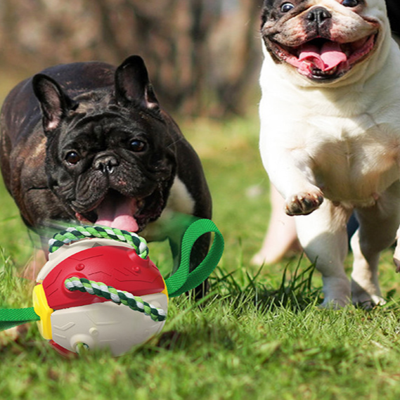 Balloro | Robuster Zerr- und Kauspielball für aktive Hunde