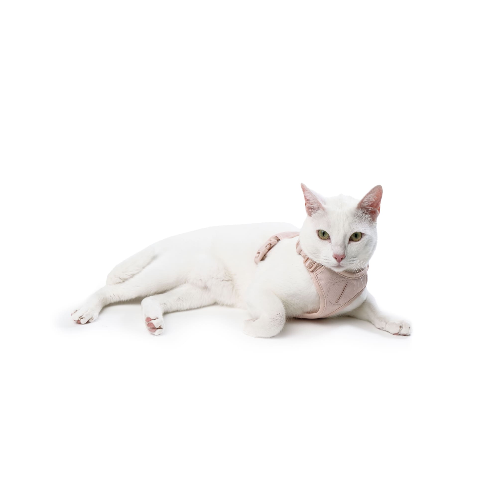 Miala | Komfort-Katzengeschirr mit Sicherheitsverschluss – Hello Kitty Design