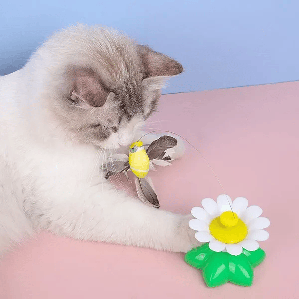 TigraFlitz | Interaktives Flugspielzeug für Katzen mit Kolibri & Schmetterling
